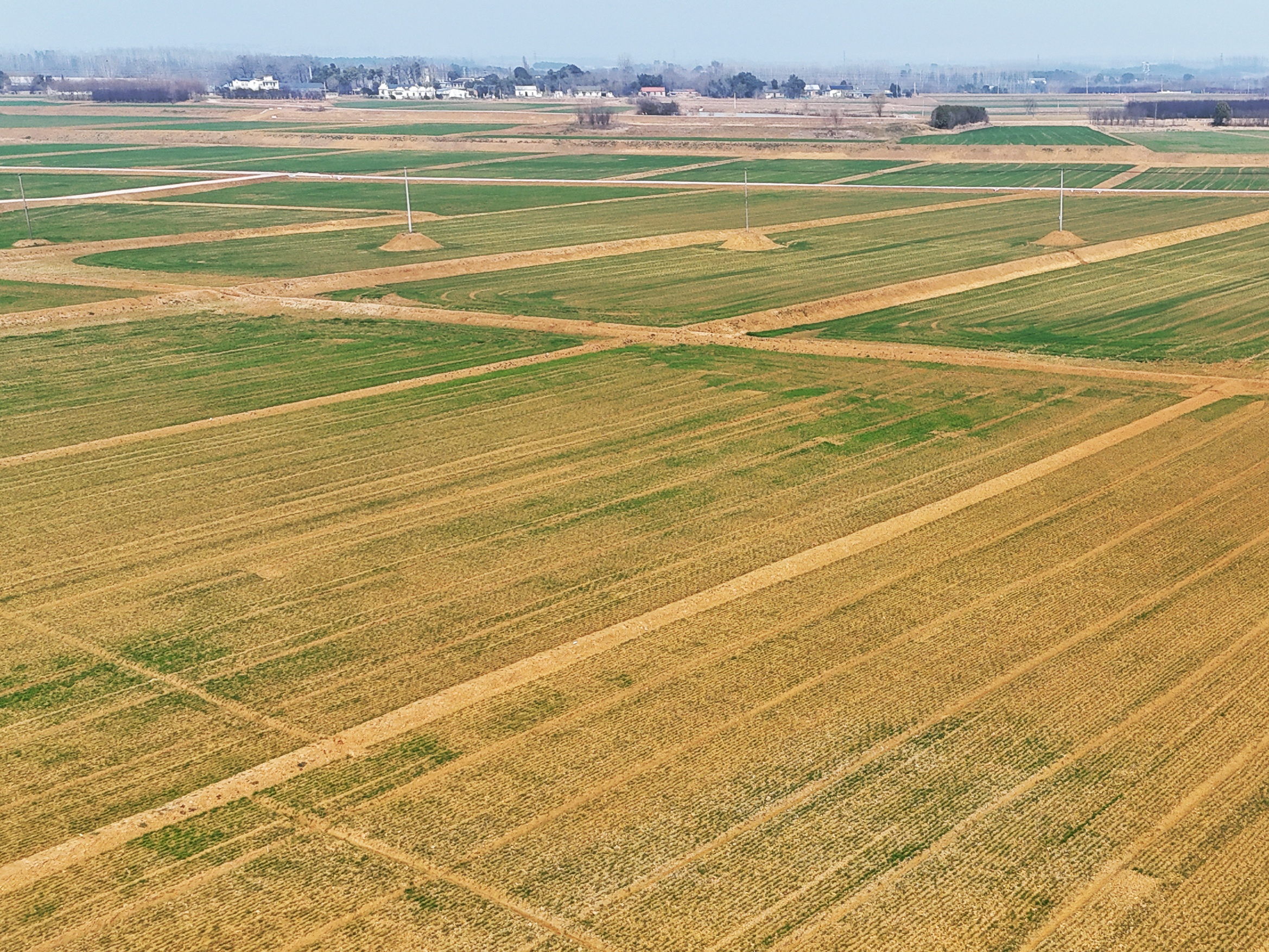 GA黄金甲(中国)最新官方网站