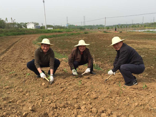 GA黄金甲(中国)最新官方网站