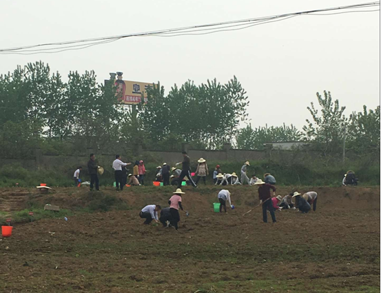 GA黄金甲(中国)最新官方网站