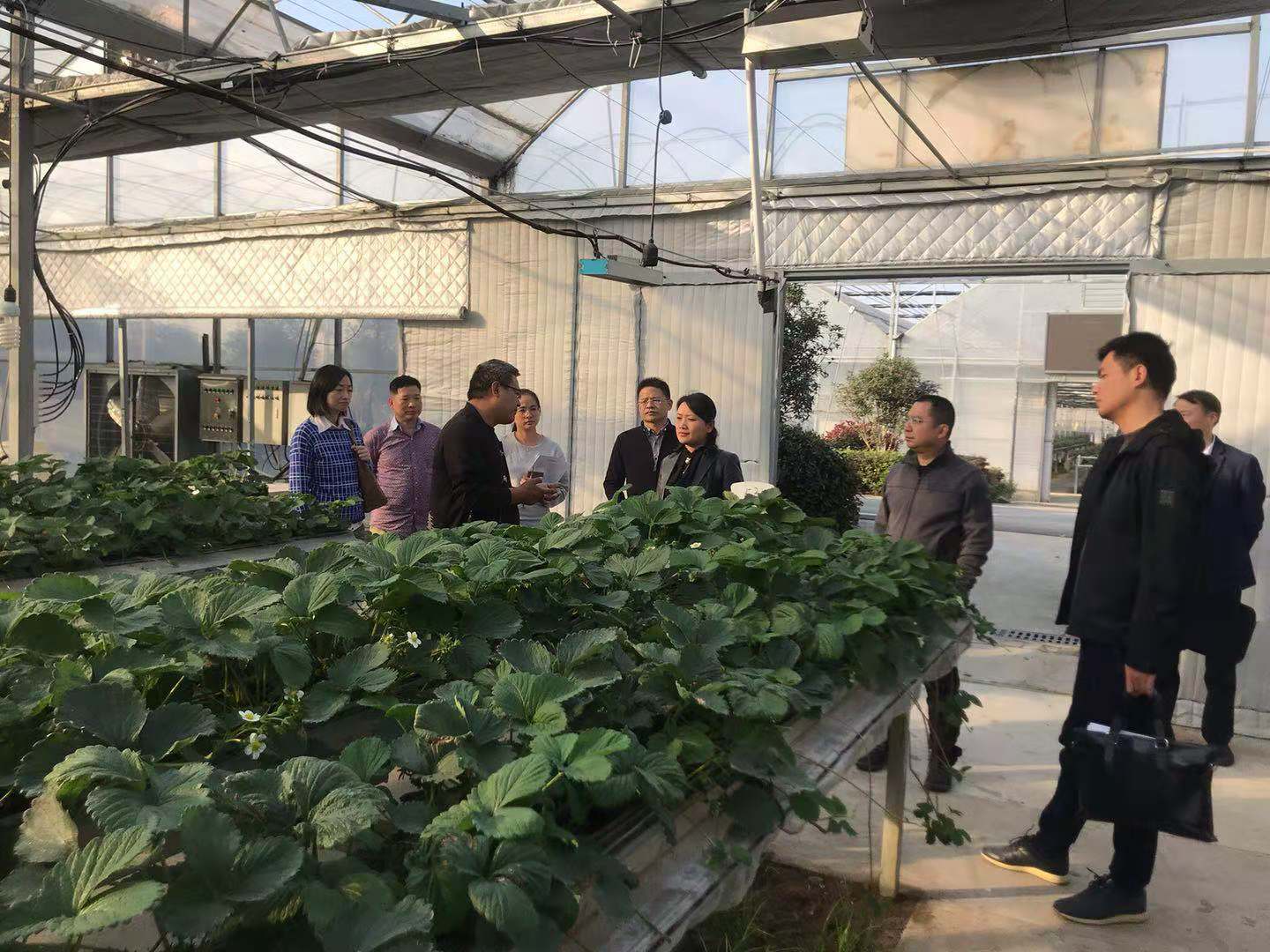 GA黄金甲(中国)最新官方网站