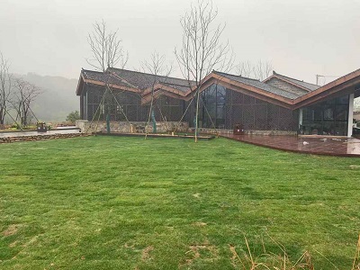 GA黄金甲(中国)最新官方网站