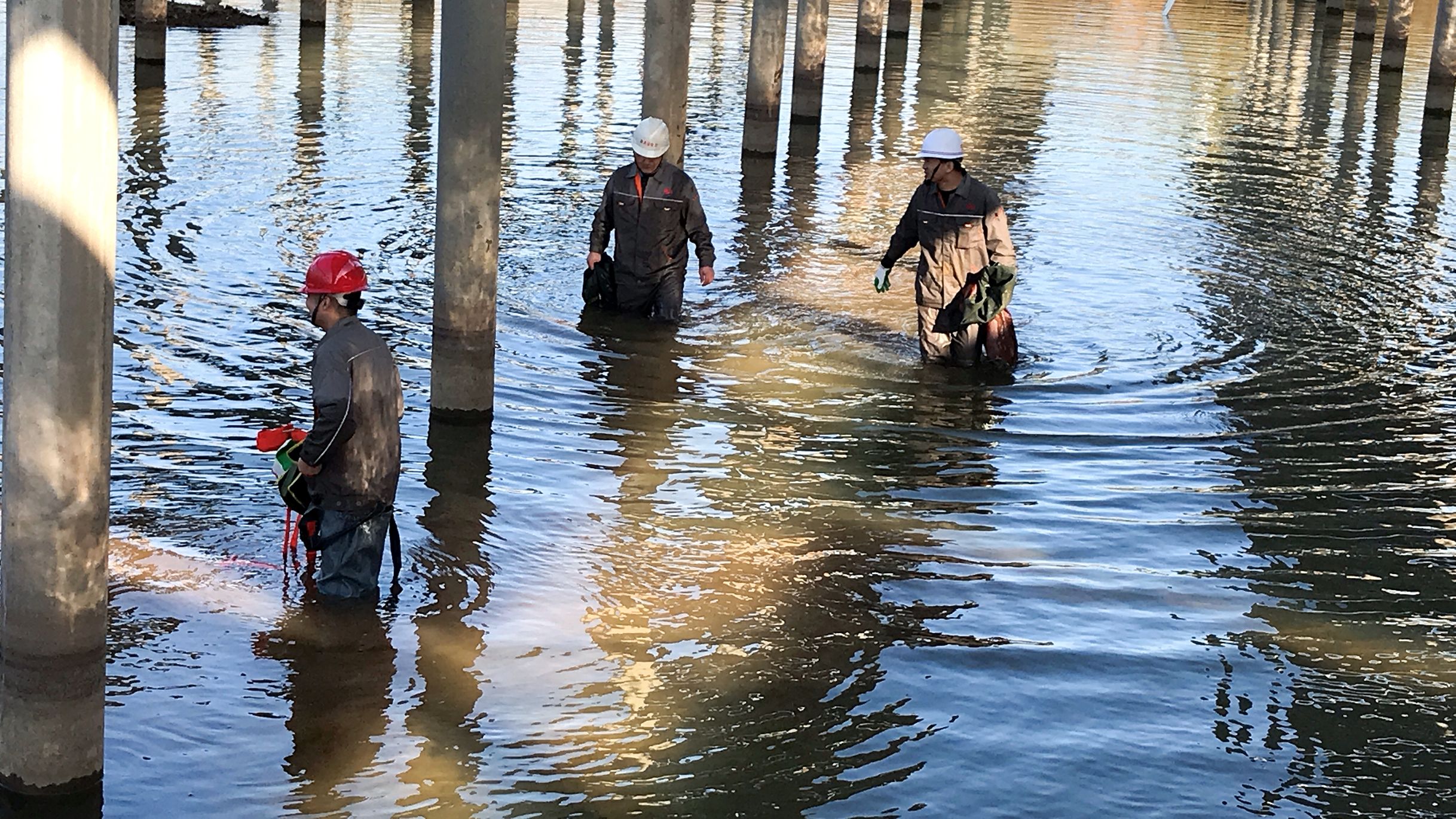 GA黄金甲(中国)最新官方网站