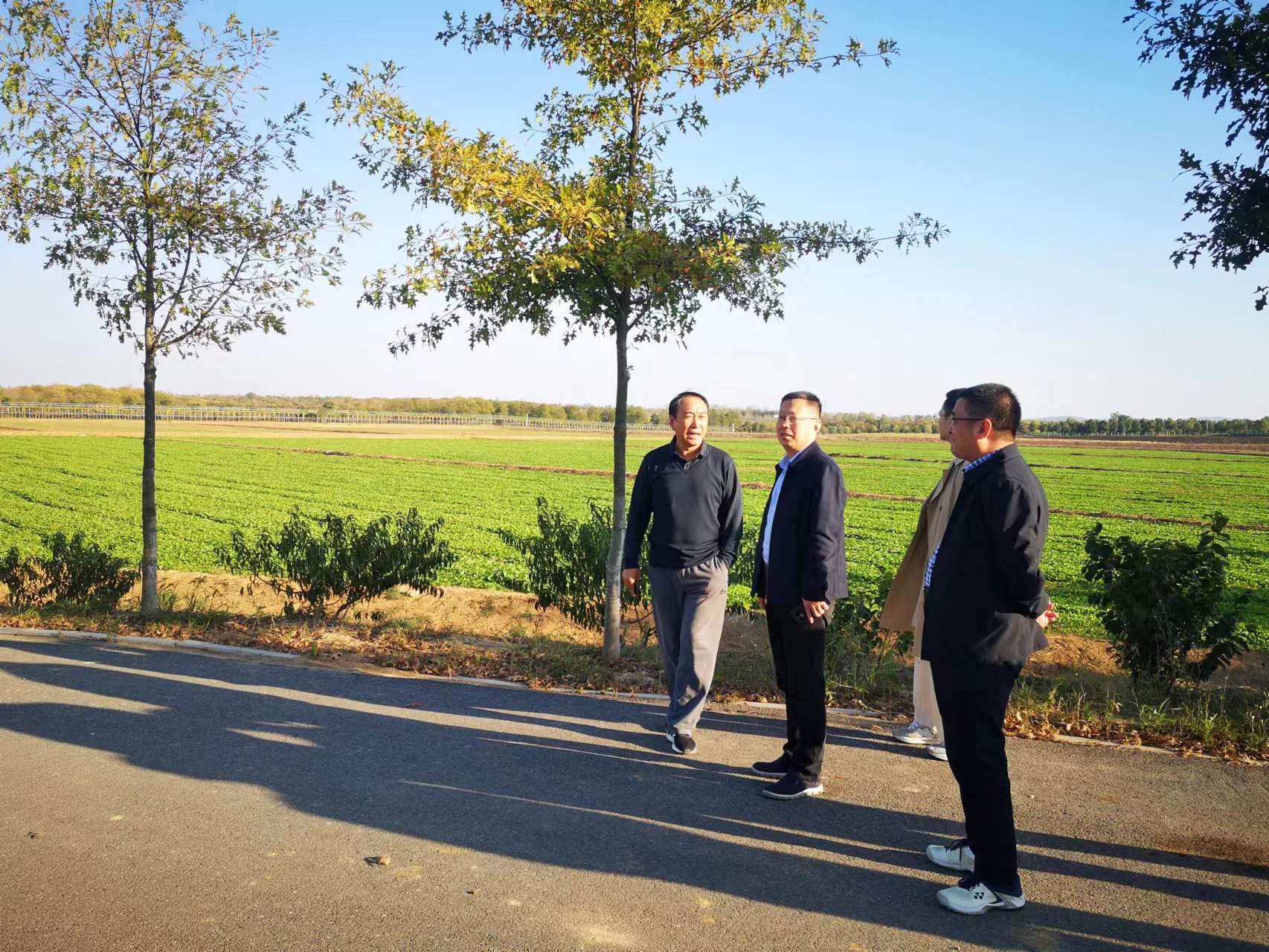 GA黄金甲(中国)最新官方网站