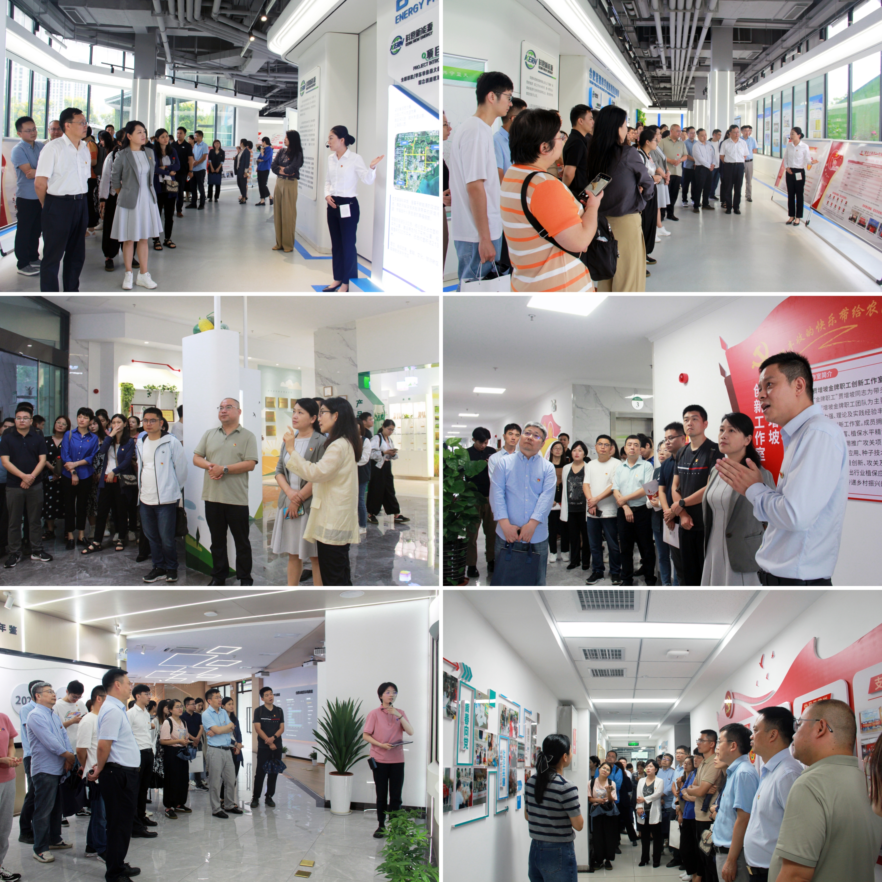 GA黄金甲(中国)最新官方网站